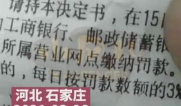 石家庄逆行爆料案件最新,真相大白，交通违规引发社会关注