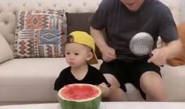 吃瓜老爸在线观看免费高清,吃瓜老爸带你领略网络热剧魅力